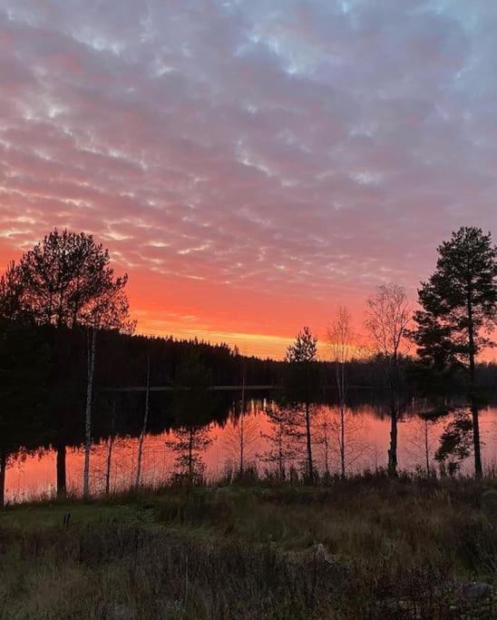 Villa Tuikkula ソトカモ エクステリア 写真