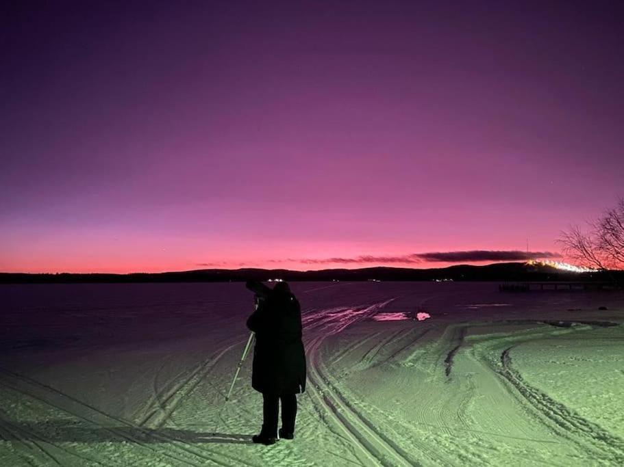 Villa Tuikkula ソトカモ エクステリア 写真